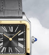 Cartier Santos-Dumont “Le 14 Bis”