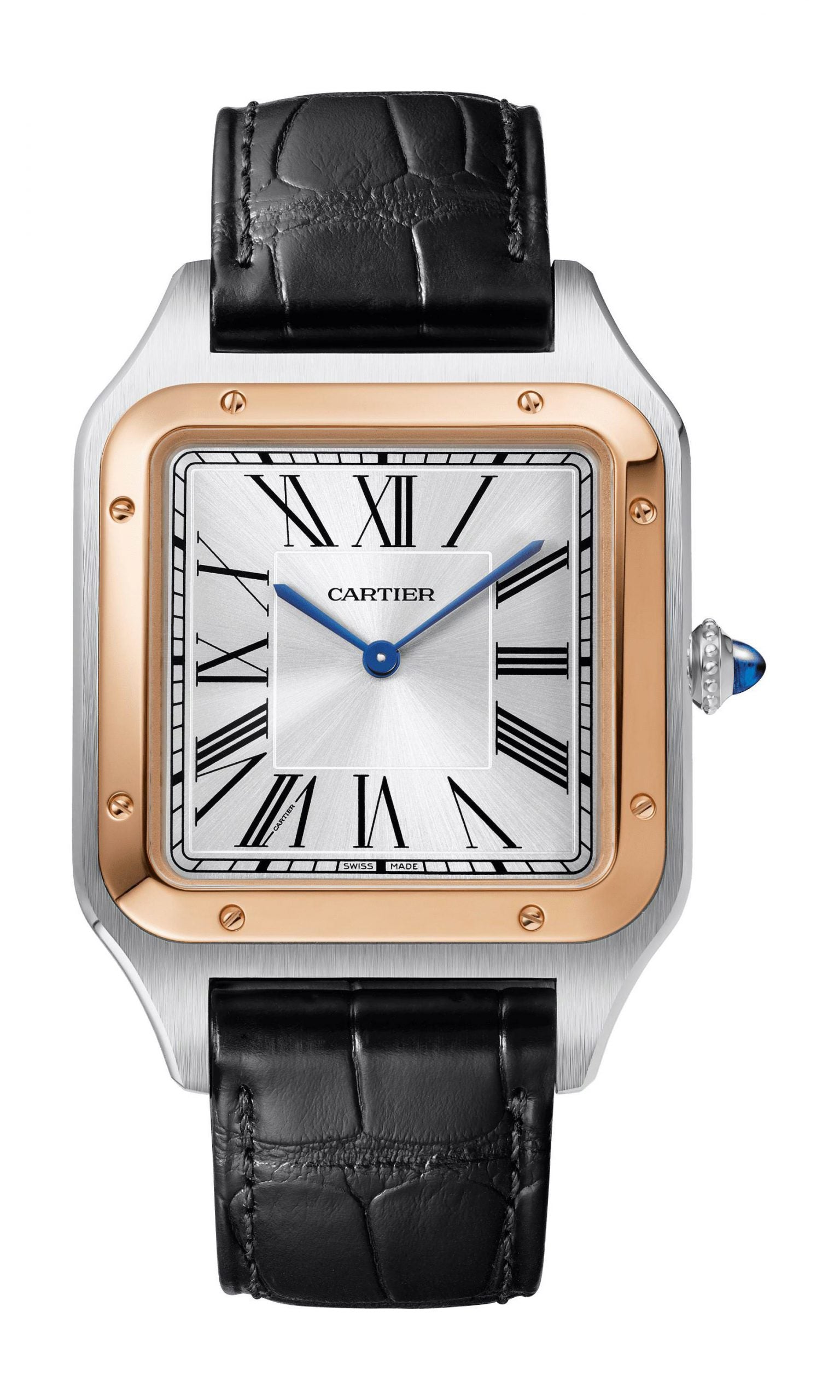 Cartier Santos-Dumont W2SA0017