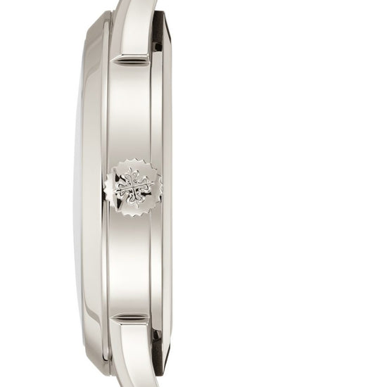 Patek Philippe Complications World Time