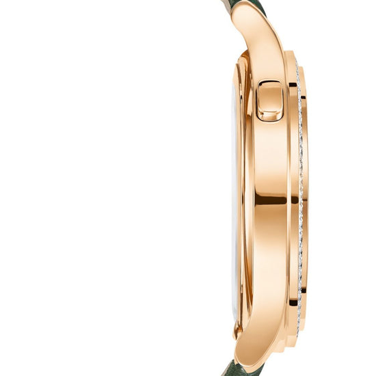 Patek Philippe Complications World Time