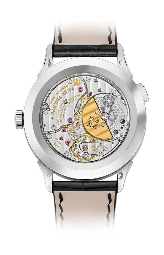 Patek Philippe Complications World Time